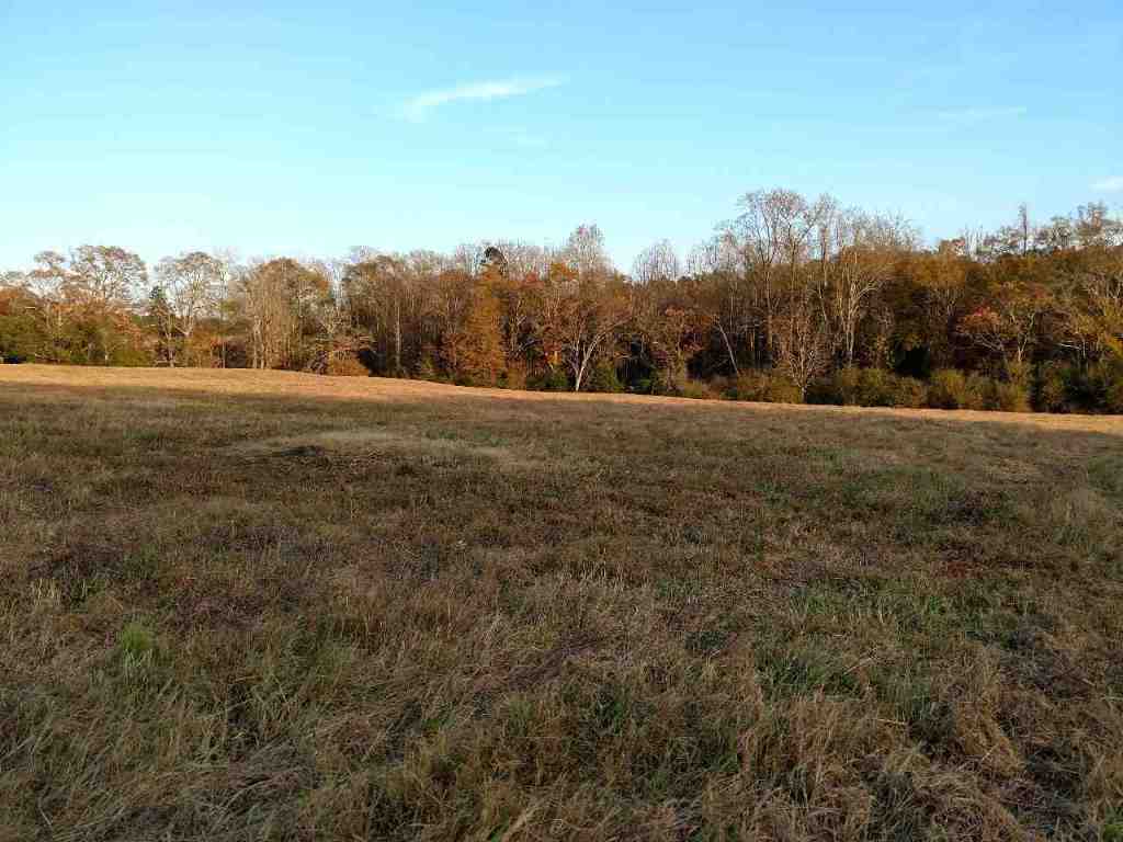 31.7-ac Marett Road, Unit 31 7 AC MARETT RD Pendleton, SC 29670 - Photo 5 of 10 Gallery Image 5
