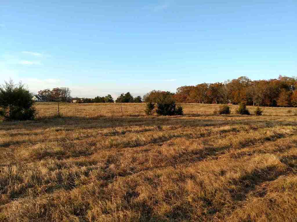 31.7-ac Marett Road, Unit 31 7 AC MARETT RD Pendleton, SC 29670 - Photo 6 of 10 Gallery Image 6