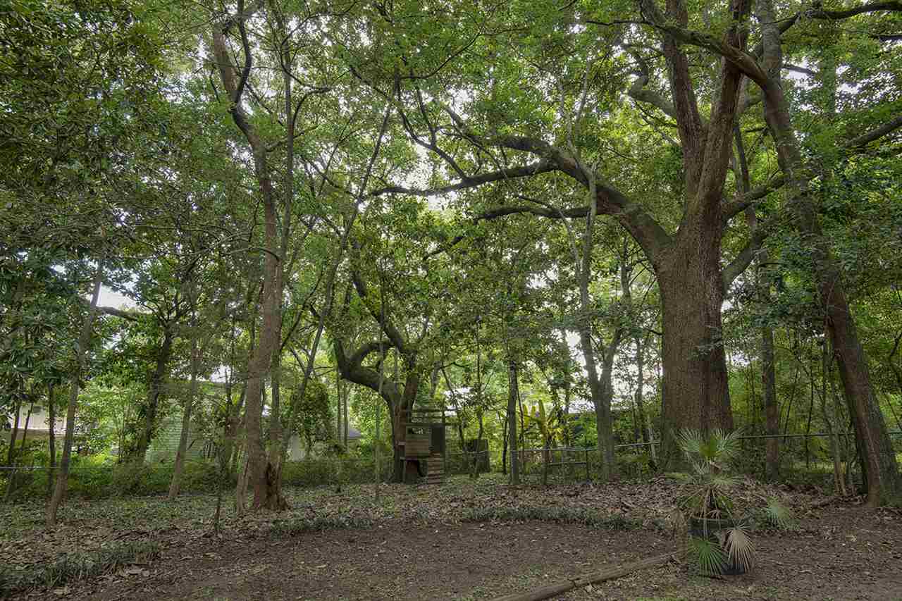 563 Bellangee Street Fairhope, AL 36532 - Photo 21 of 24