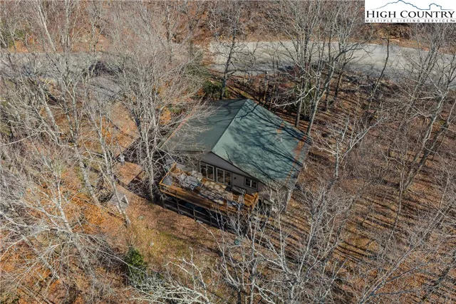 a view of a yard with plants and trees