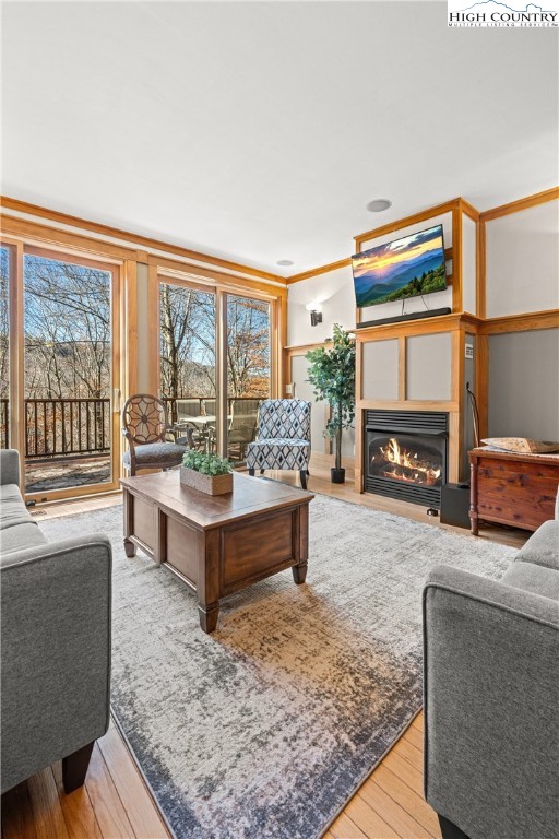 169 Hornbeam Road Beech Mountain, NC 28604 - Photo 7 of 48 a living room with furniture and a fireplace