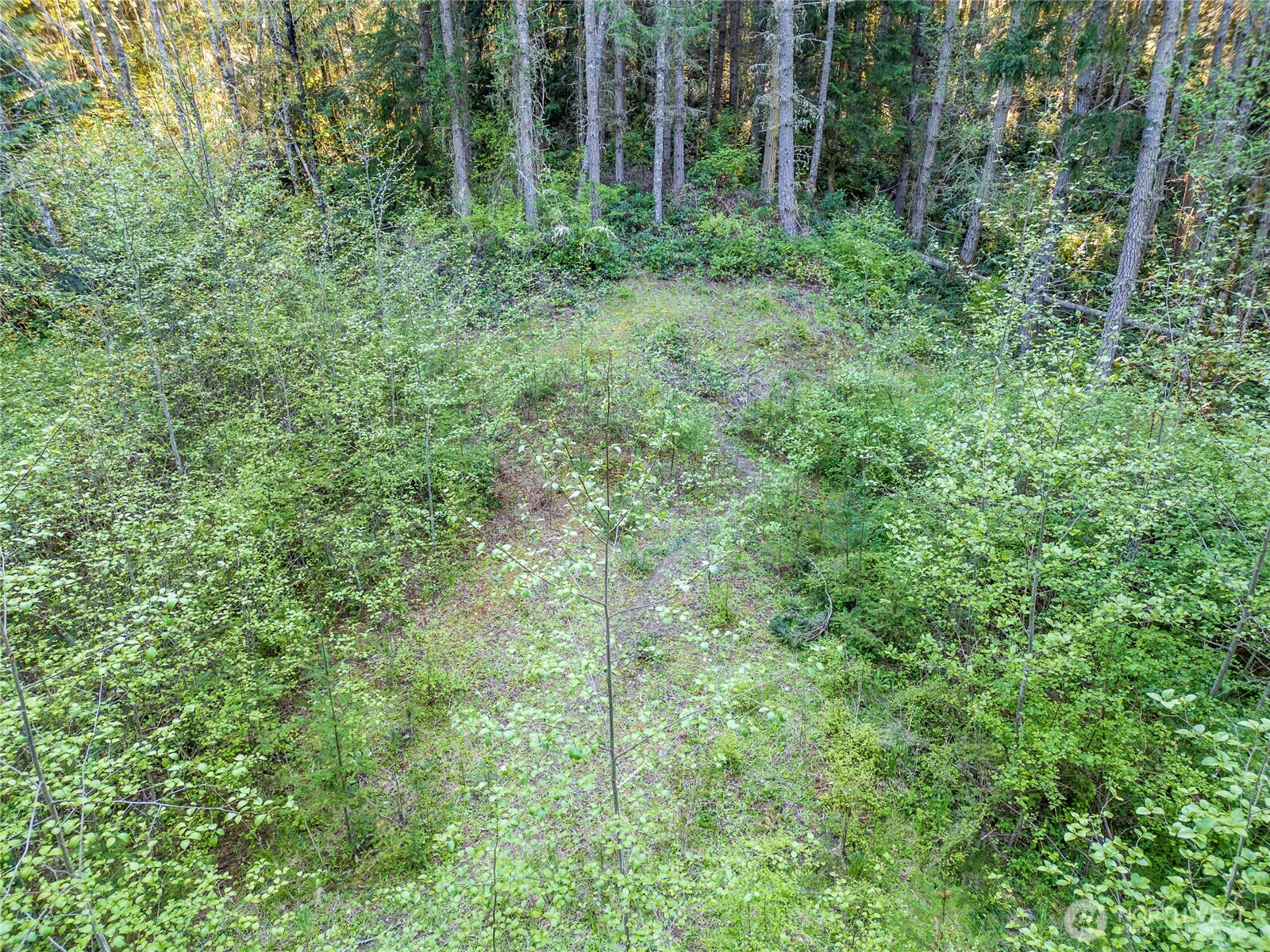 0 Discovery Ridge Road Port Townsend, WA 98368 - Photo 11 of 31