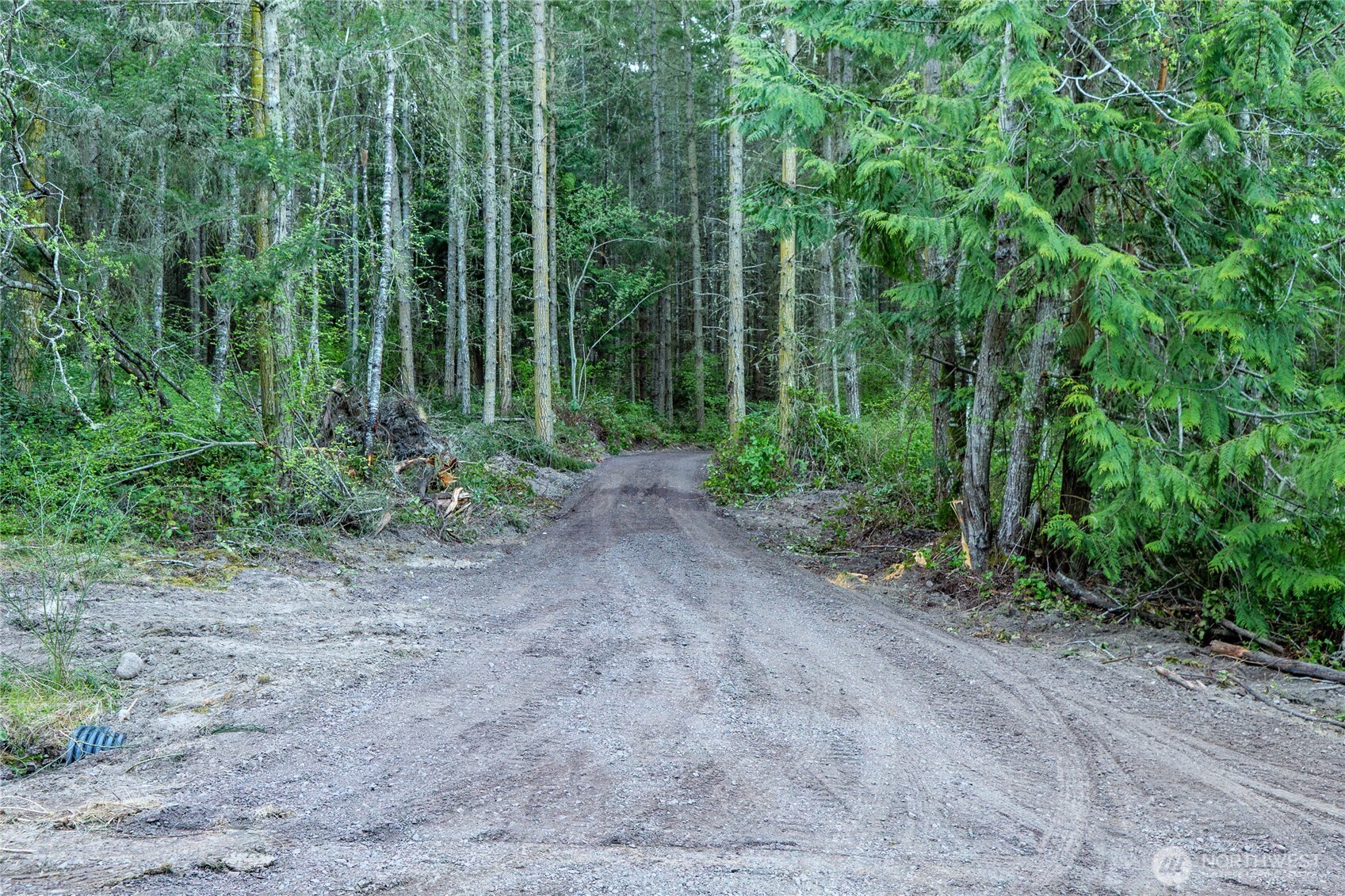 0 Discovery Ridge Road Port Townsend, WA 98368 - Photo 14 of 31