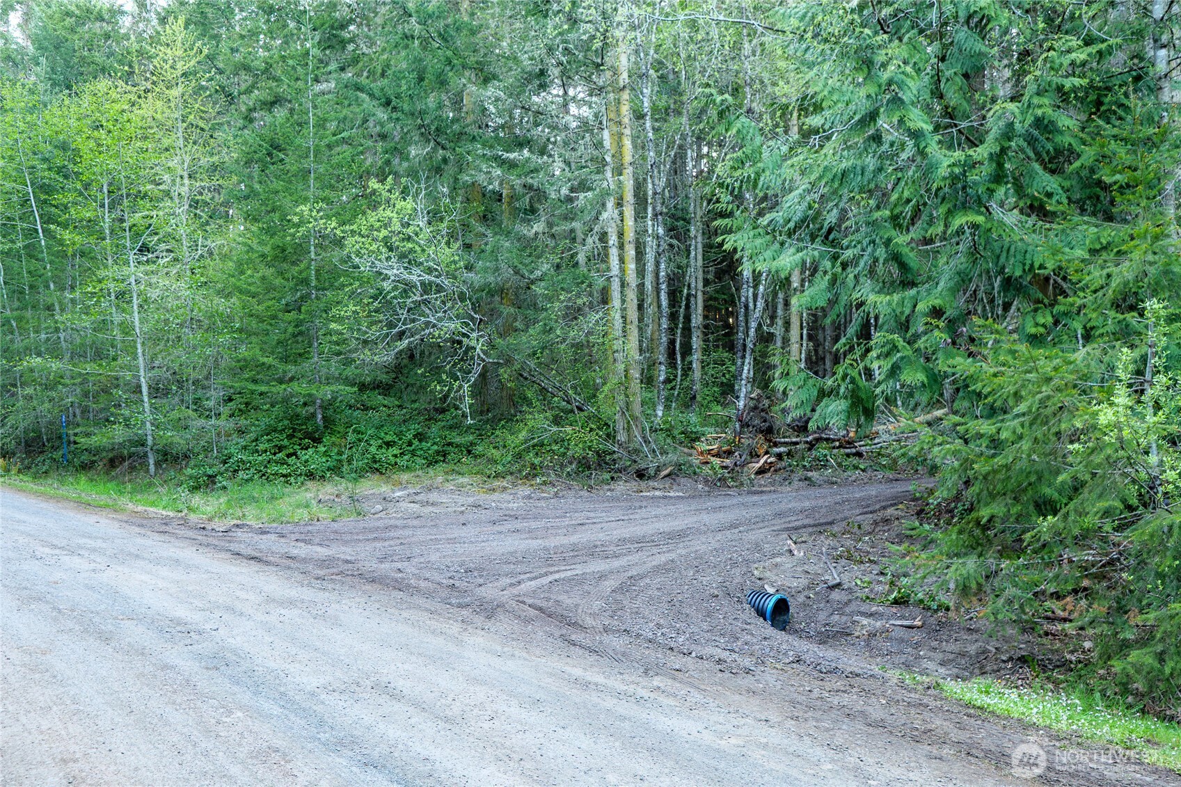 0 Discovery Ridge Road Port Townsend, WA 98368 - Photo 15 of 31
