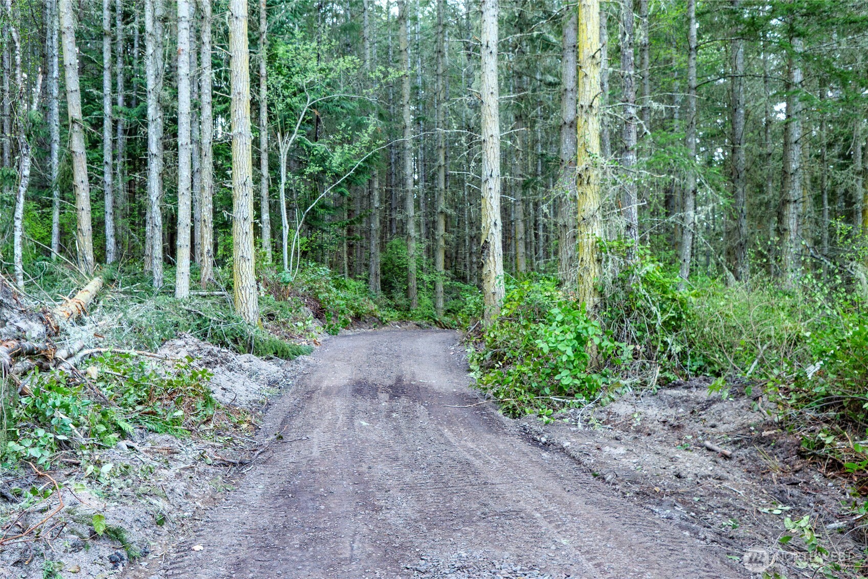 0 Discovery Ridge Road Port Townsend, WA 98368 - Photo 18 of 31