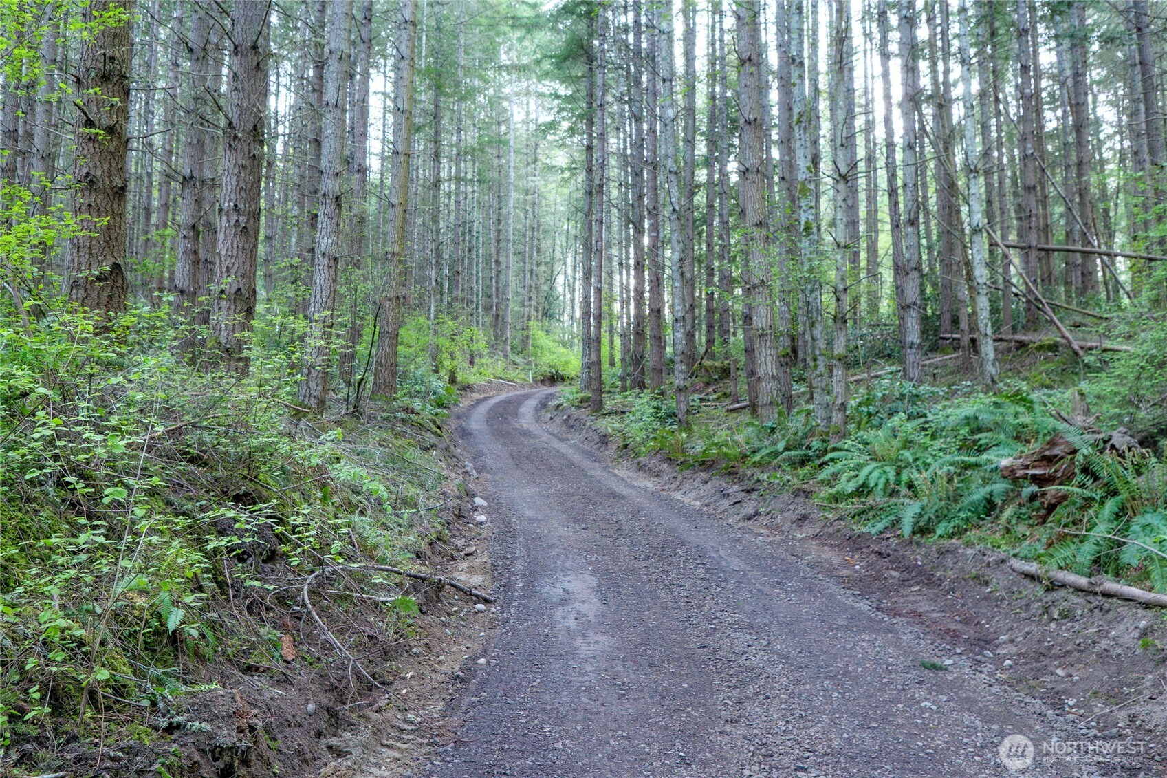 0 Discovery Ridge Road Port Townsend, WA 98368 - Photo 20 of 31