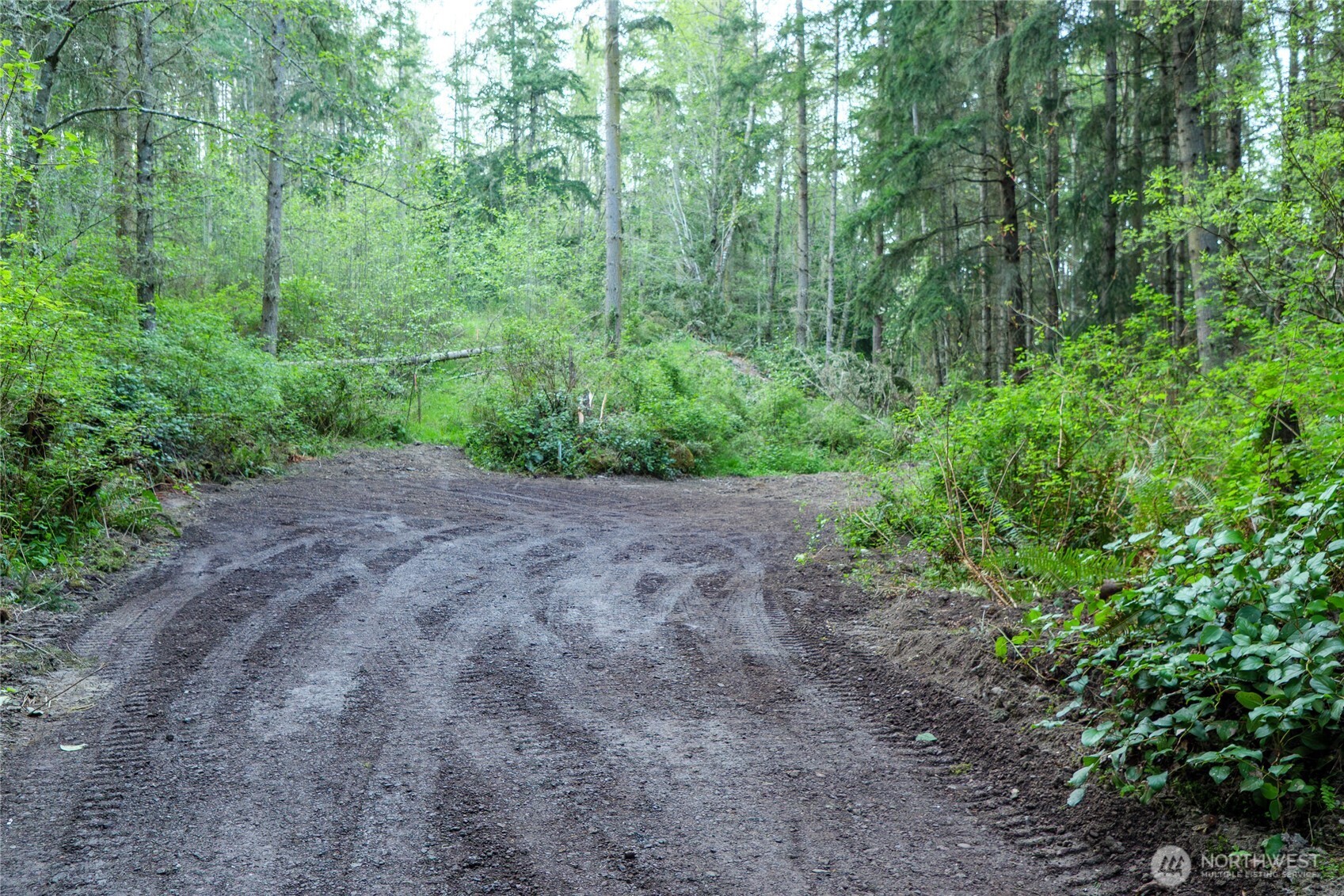 0 Discovery Ridge Road Port Townsend, WA 98368 - Photo 21 of 31