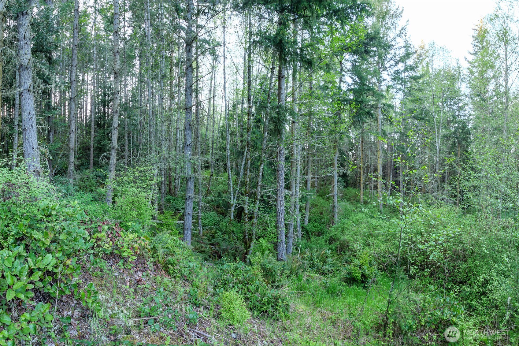 0 Discovery Ridge Road Port Townsend, WA 98368 - Photo 22 of 31