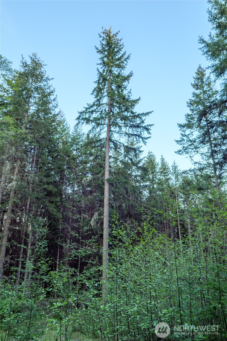 0 Discovery Ridge Road Port Townsend, WA 98368 - Photo 23 of 31