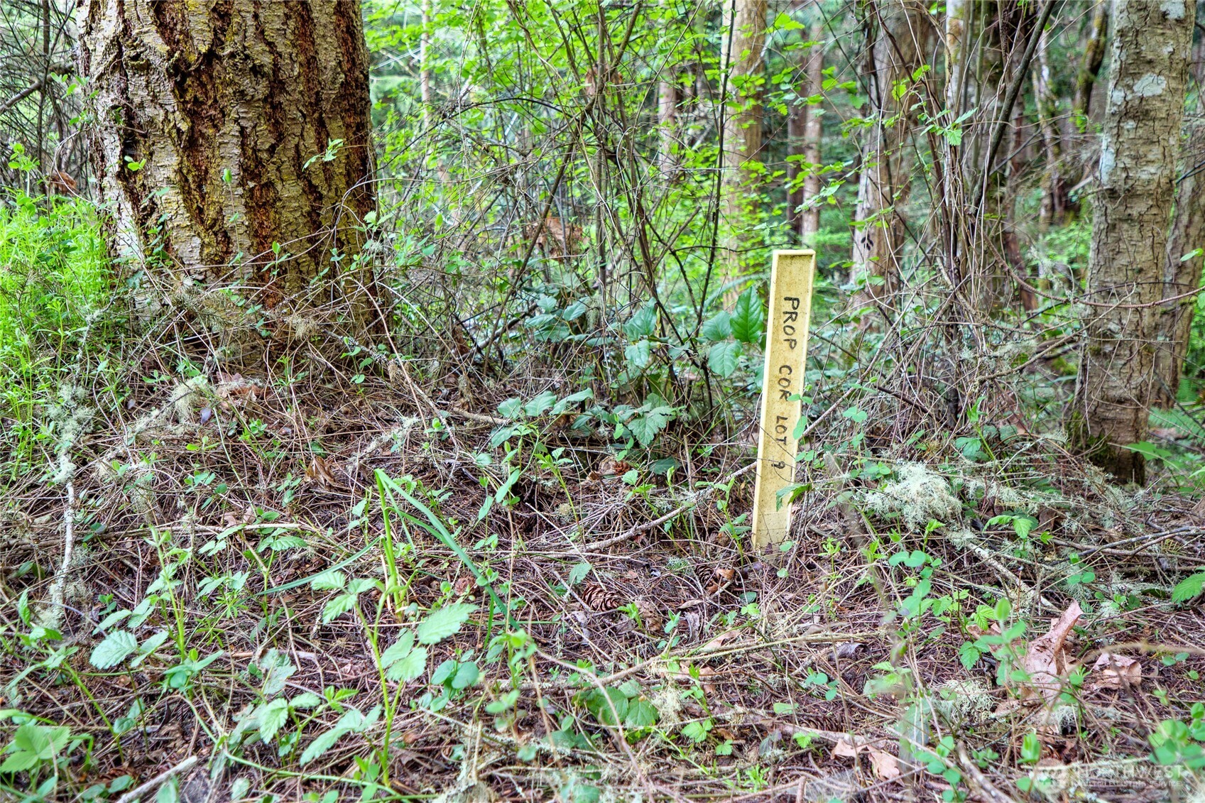 0 Discovery Ridge Road Port Townsend, WA 98368 - Photo 25 of 31