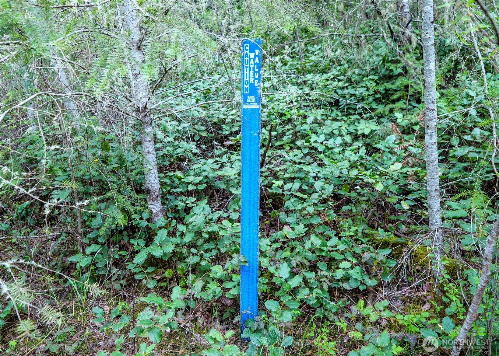 0 Discovery Ridge Road Port Townsend, WA 98368 - Photo 26 of 31