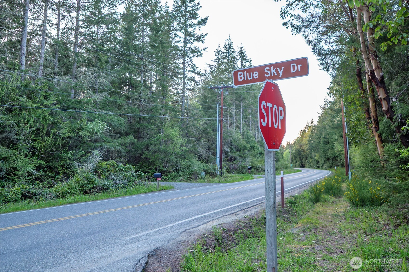 0 Discovery Ridge Road Port Townsend, WA 98368 - Photo 29 of 31