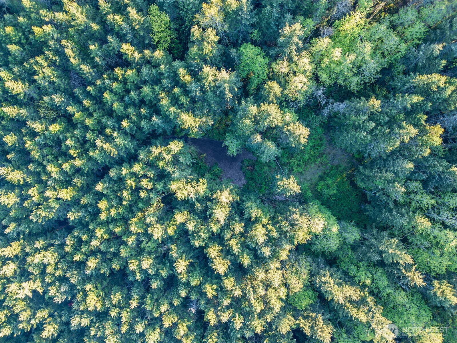 0 Discovery Ridge Road Port Townsend, WA 98368 - Photo 3 of 31