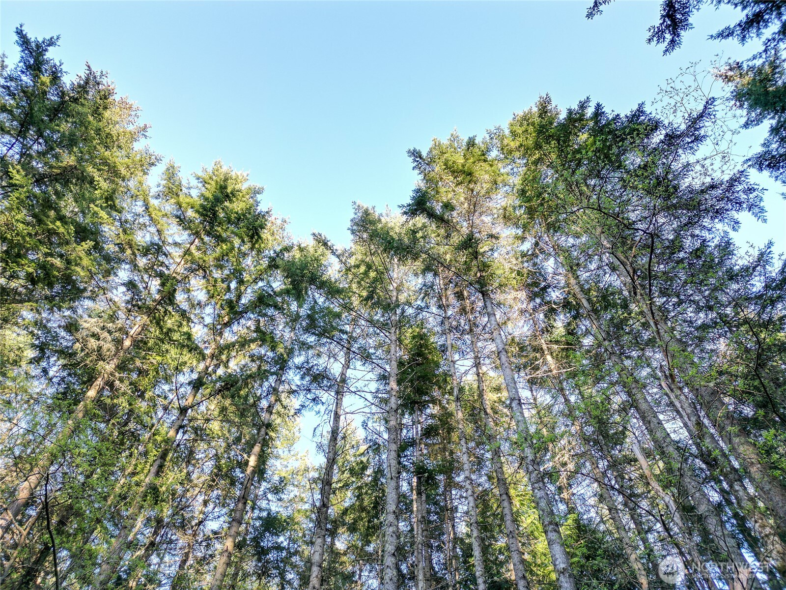 0 Discovery Ridge Road Port Townsend, WA 98368 - Photo 6 of 31