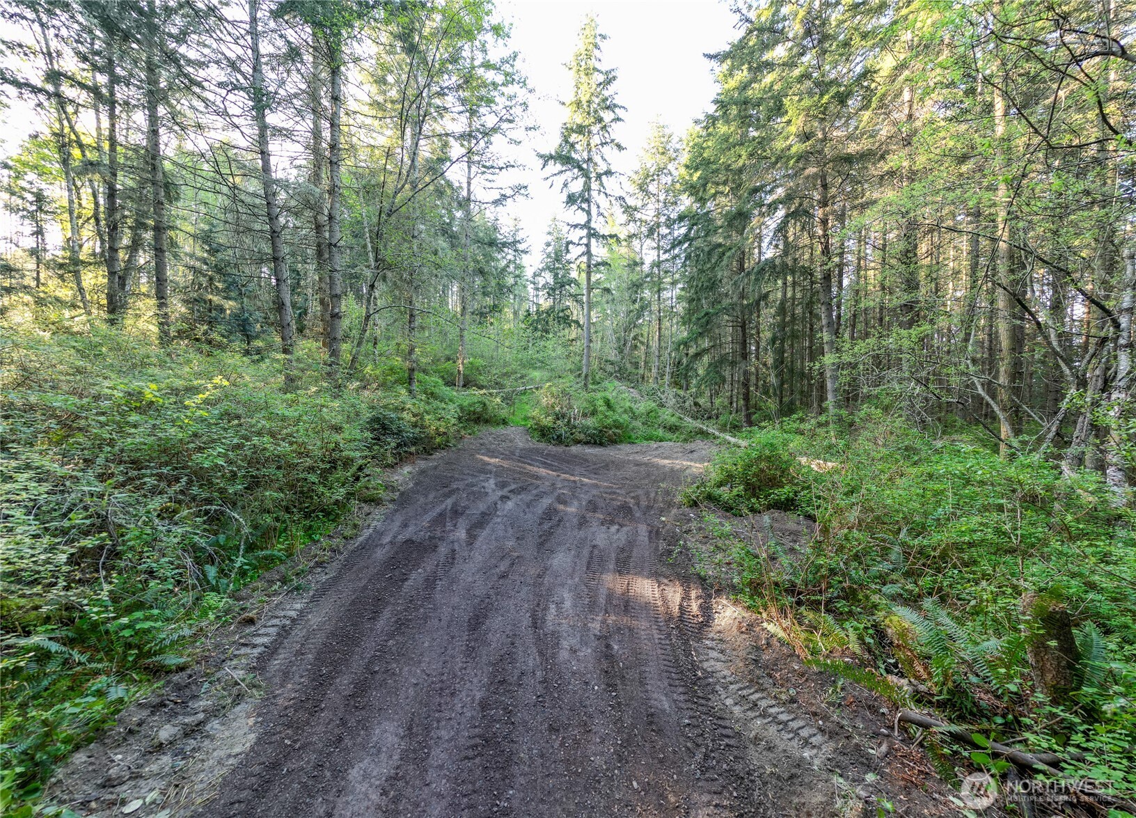 0 Discovery Ridge Road Port Townsend, WA 98368 - Photo 7 of 31