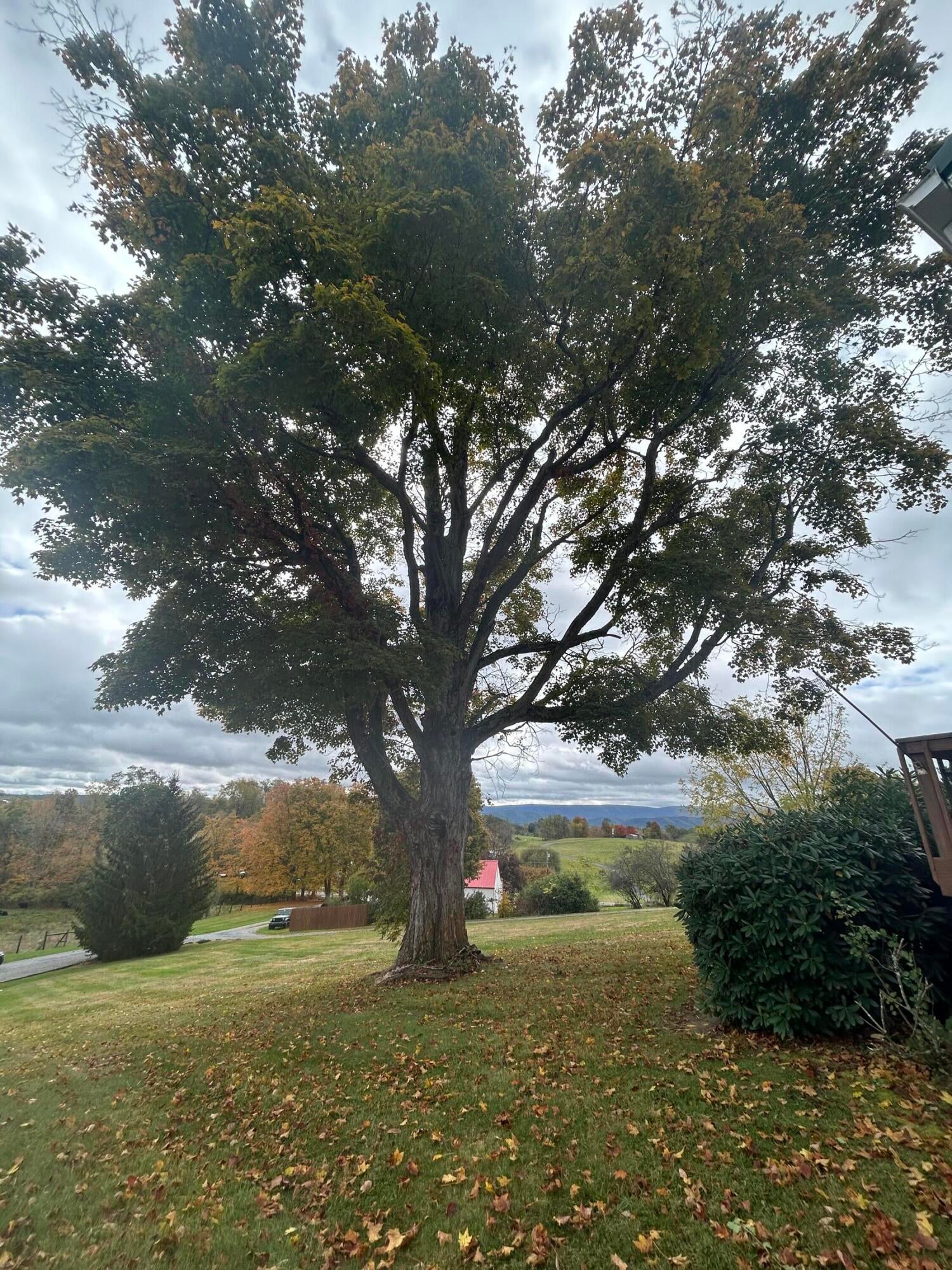 1797 Sweet Springs Valley Road Union, WV 24983 - Photo 82 of 82 Gallery Image 82