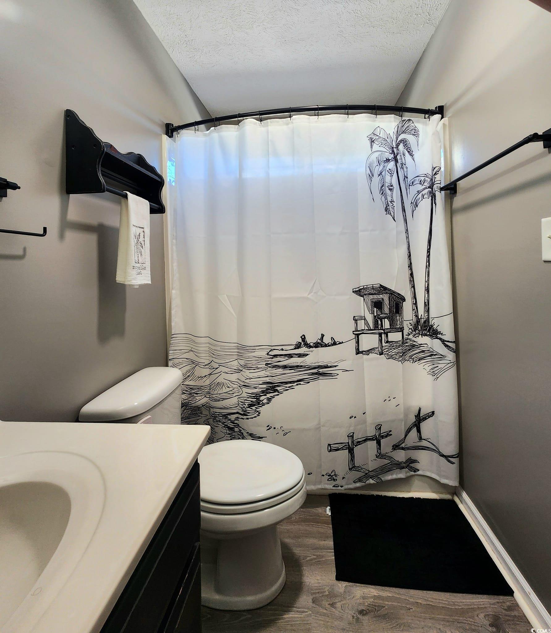 9883 Conifer Lane Murrells Inlet, SC 29576 - Photo 20 of 24 Bathroom featuring vanity, wood finished floors, a