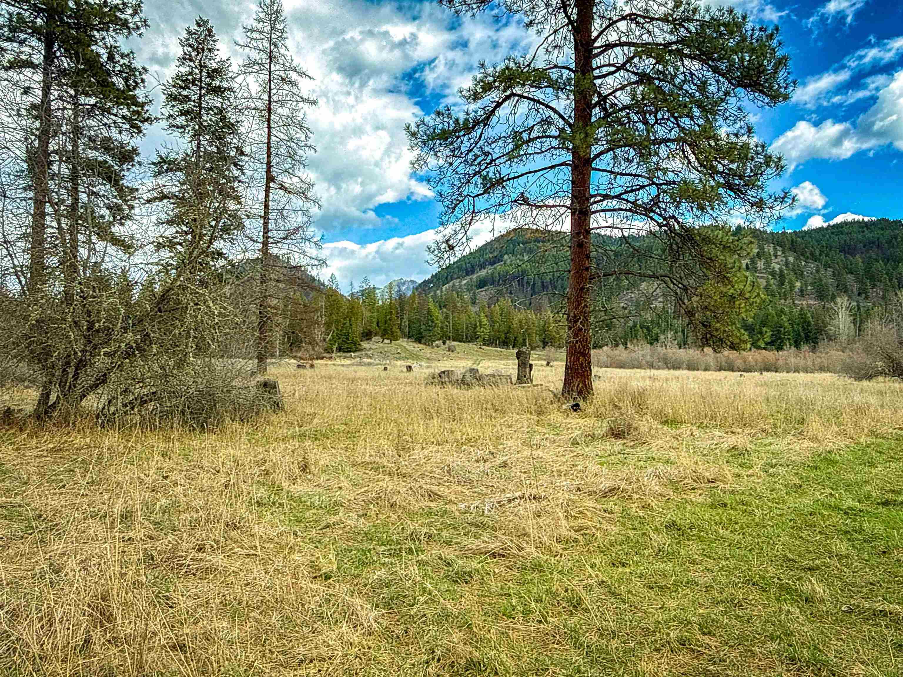 901 Skookum Creek Road Usk, WA 99180 - Photo 23 of 50
