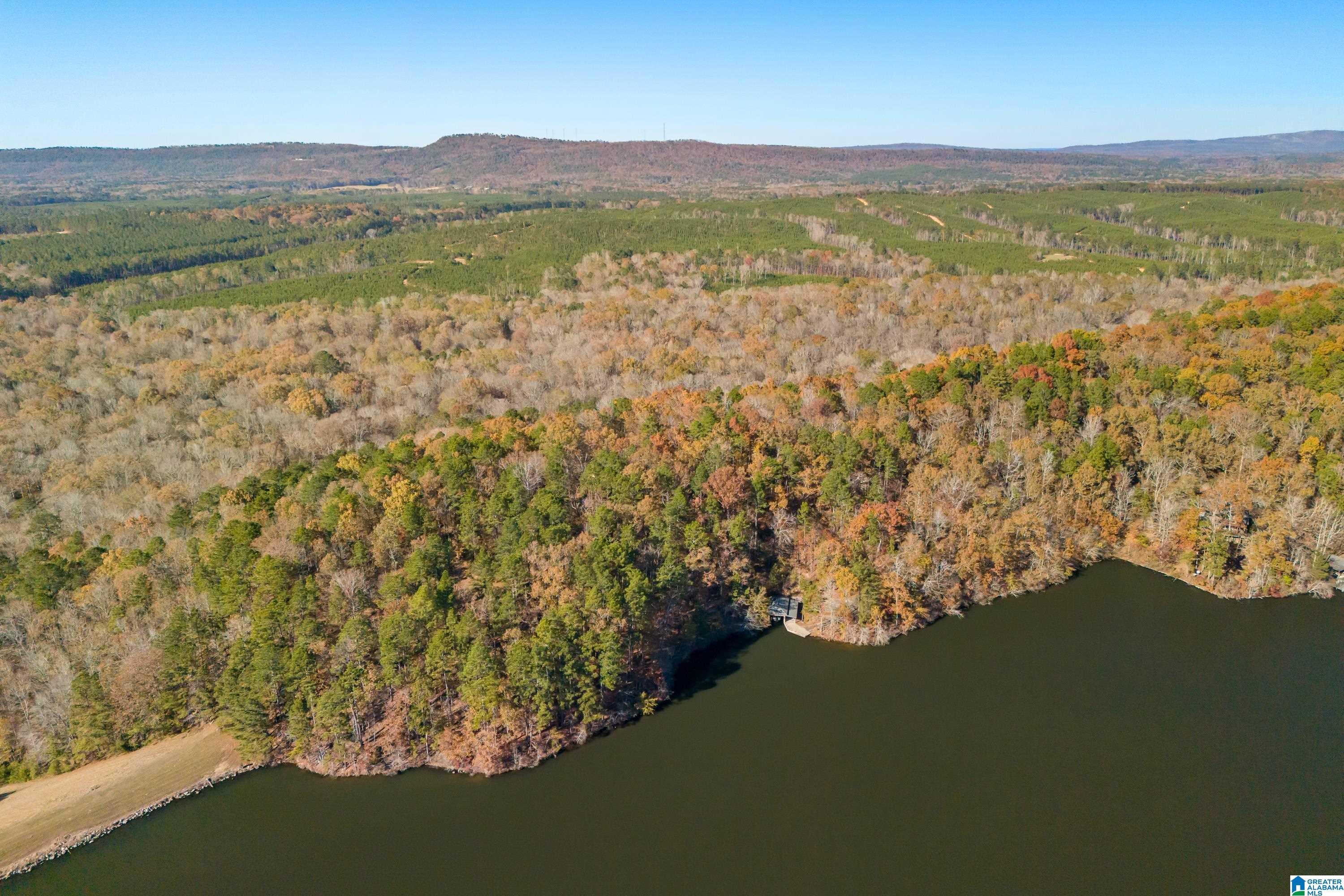 0 Pumpkin Hollow Road Sterrett, AL 35147 - Photo 54 of 55