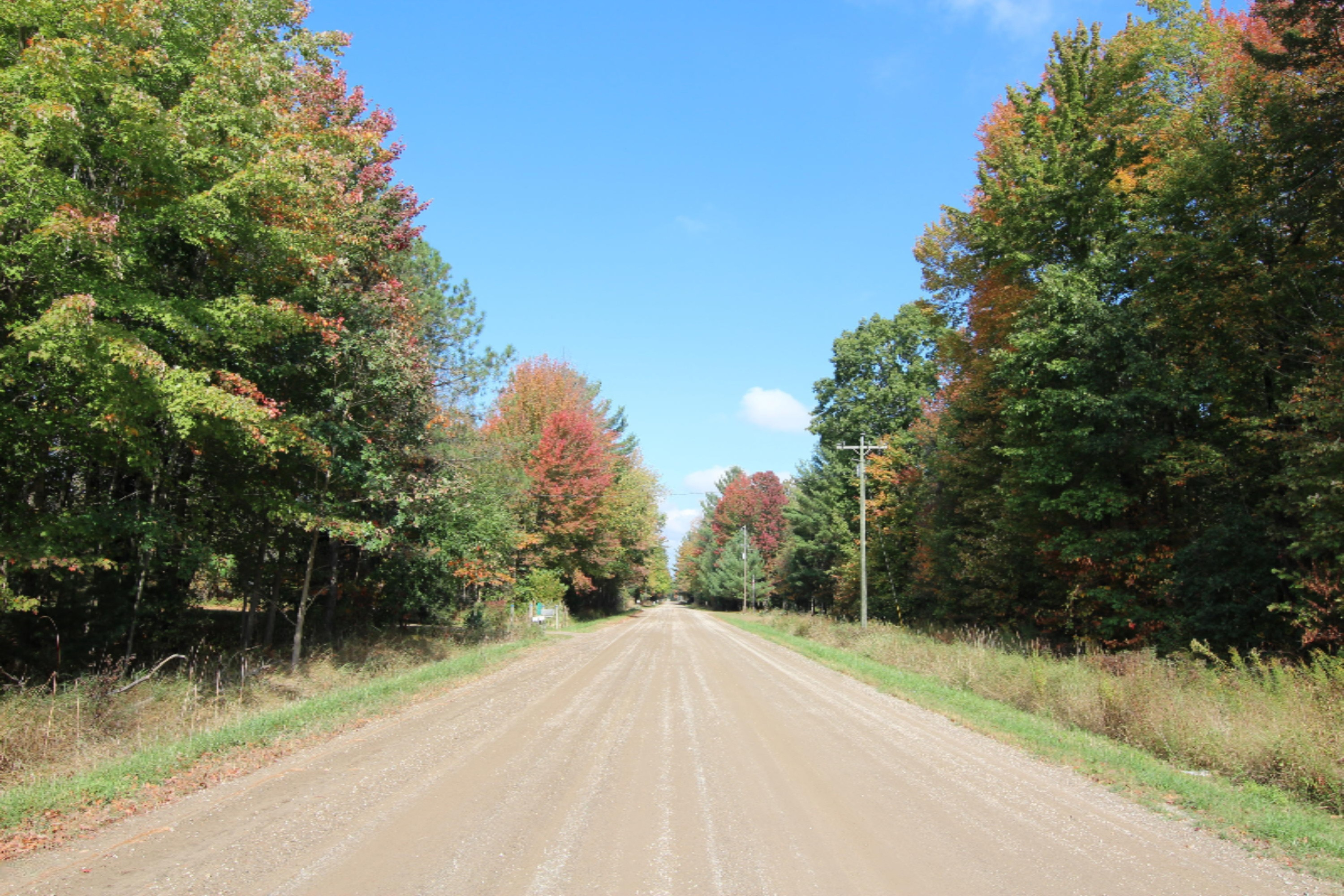 5983 Rollenhagen Road Ravenna, MI 49451 - Photo 2 of 10 Road View