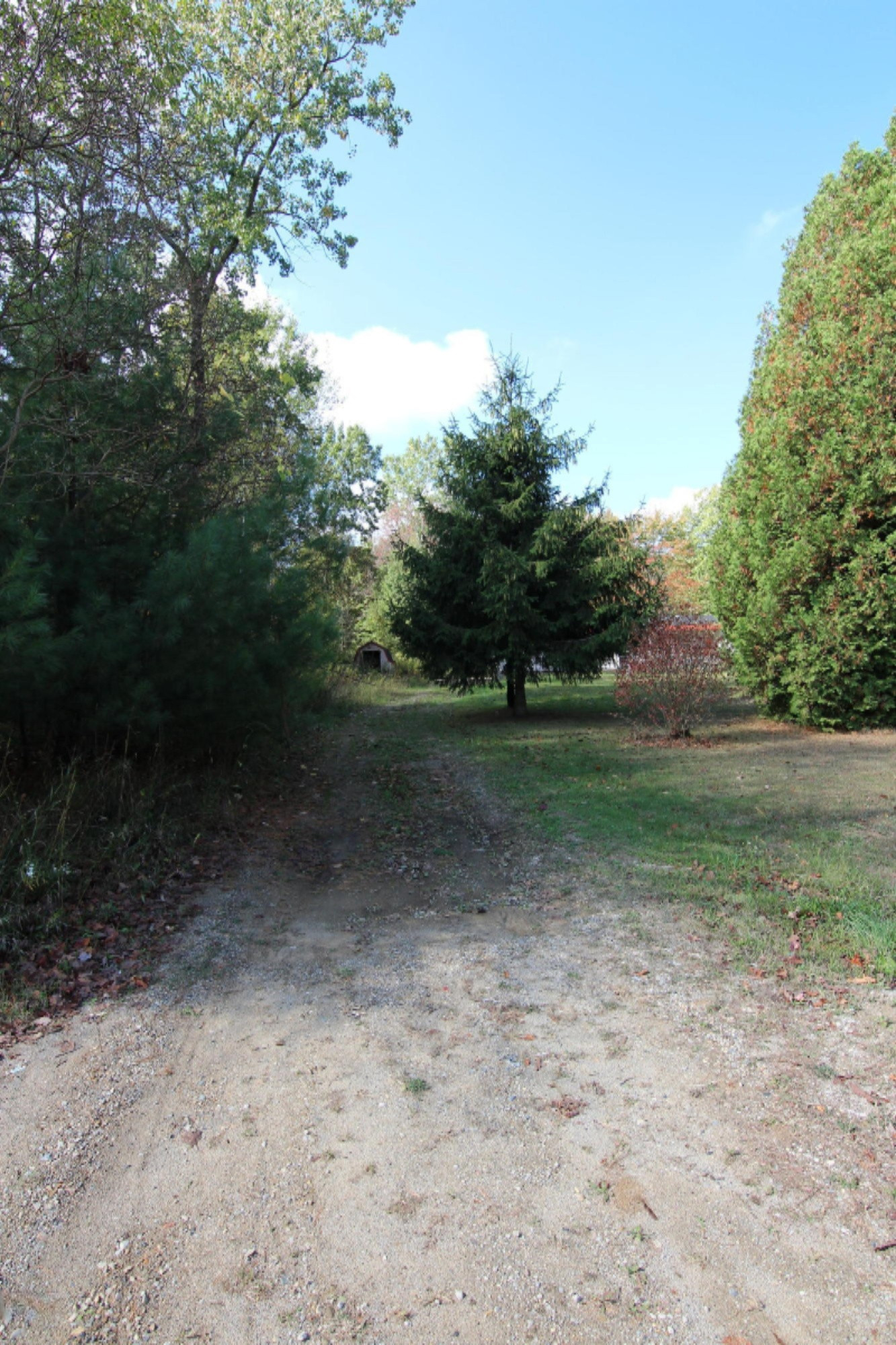 5983 Rollenhagen Road Ravenna, MI 49451 - Photo 3 of 10 Driveway