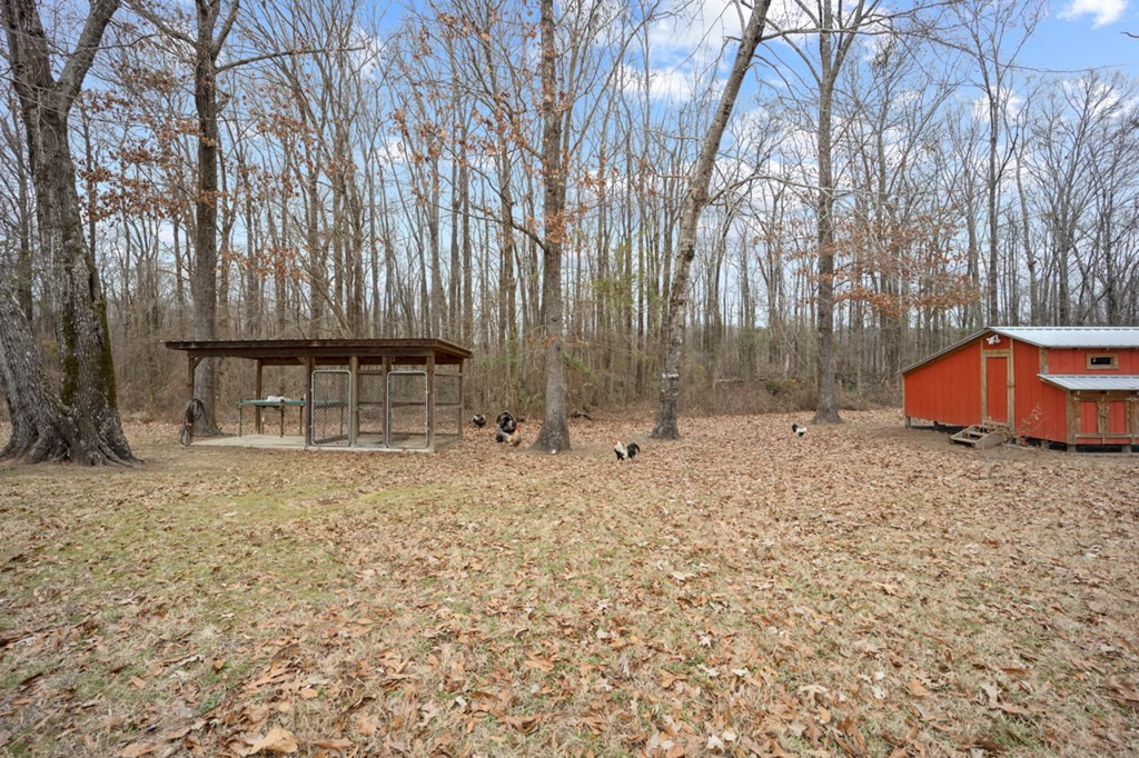 1222 Jim Boyd Road Pickensville, AL 35447 - Photo 27 of 49 Photo 27