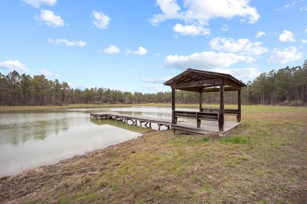 1222 Jim Boyd Road Pickensville, AL 35447 - Photo 28 of 49 Photo 28