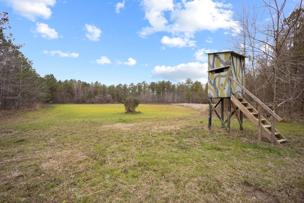 1222 Jim Boyd Road Pickensville, AL 35447 - Photo 30 of 49 Photo 30