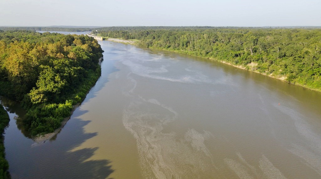 1222 Jim Boyd Road Pickensville, AL 35447 - Photo 32 of 49 Photo 32