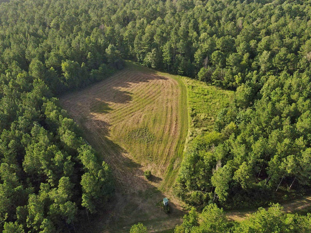 1222 Jim Boyd Road Pickensville, AL 35447 - Photo 33 of 49 Photo 33