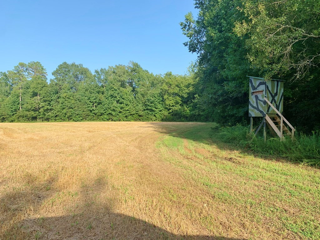 1222 Jim Boyd Road Pickensville, AL 35447 - Photo 34 of 49 Photo 34