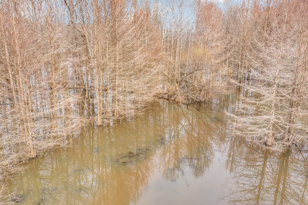 1222 Jim Boyd Road Pickensville, AL 35447 - Photo 37 of 49 Photo 37