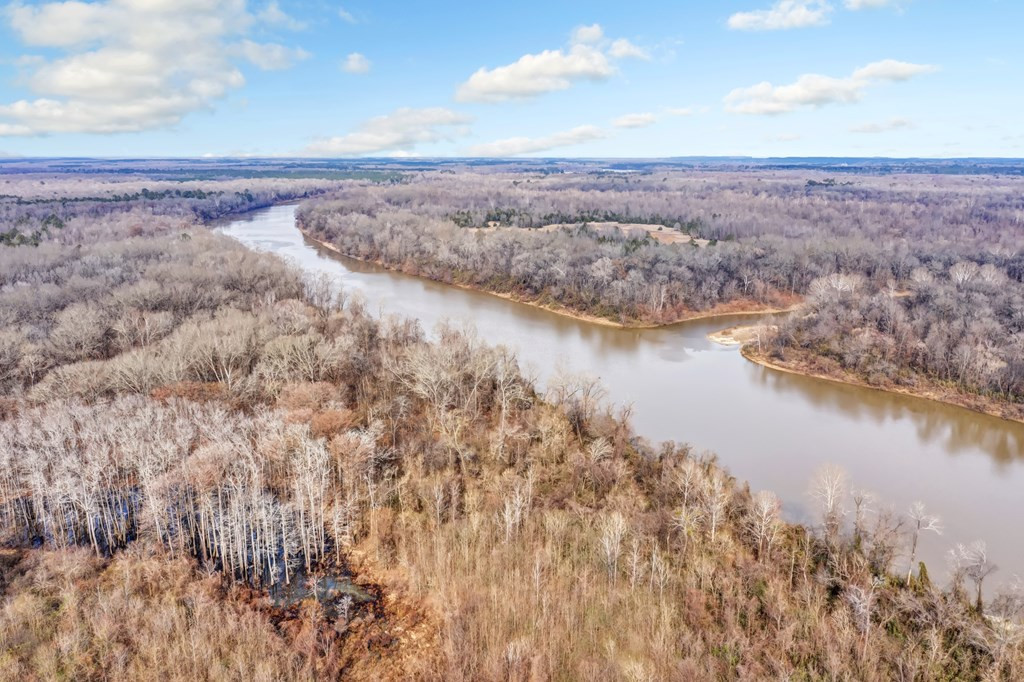 1222 Jim Boyd Road Pickensville, AL 35447 - Photo 40 of 49 Photo 40