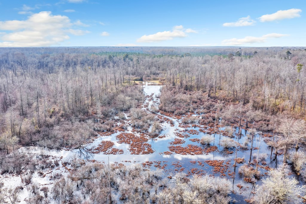 1222 Jim Boyd Road Pickensville, AL 35447 - Photo 41 of 49 Photo 41