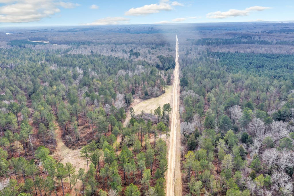 1222 Jim Boyd Road Pickensville, AL 35447 - Photo 43 of 49 Photo 43