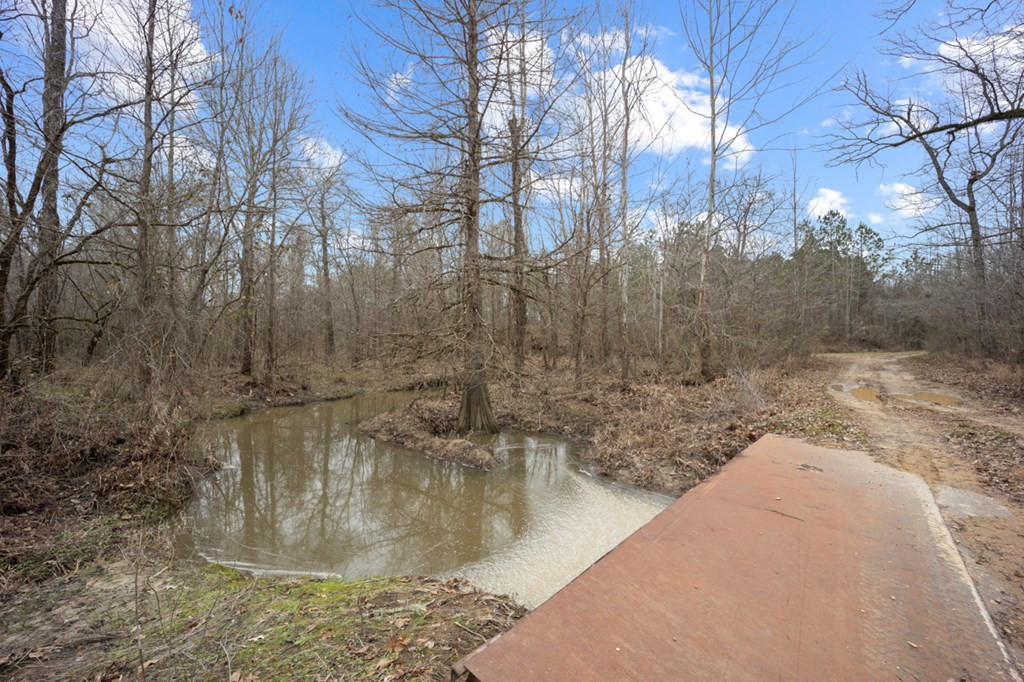 1222 Jim Boyd Road Pickensville, AL 35447 - Photo 46 of 49 Photo 46