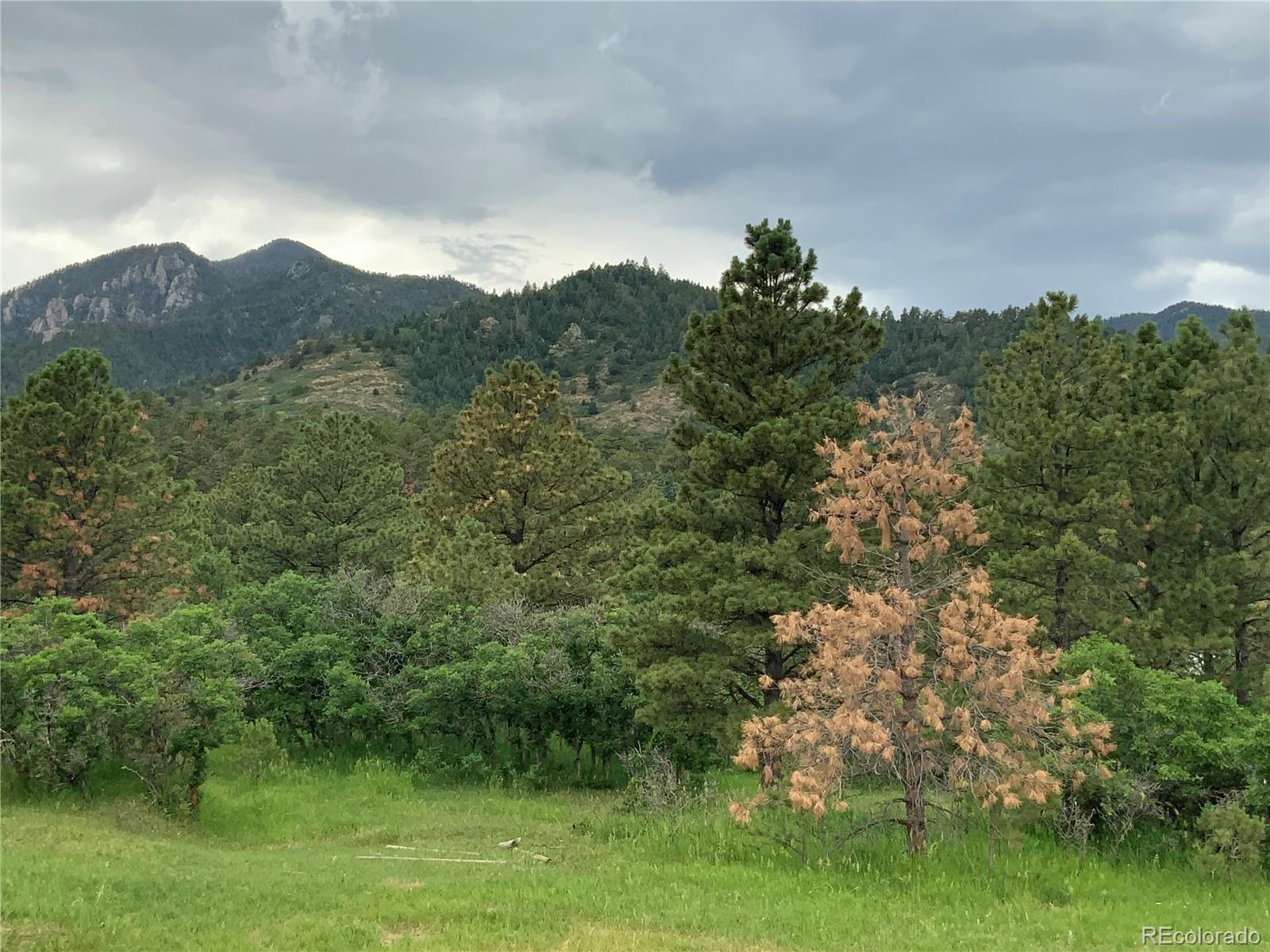 10724 Bartlett Trail Rye, CO 81069 - Photo 31 of 34 Gallery Image 31