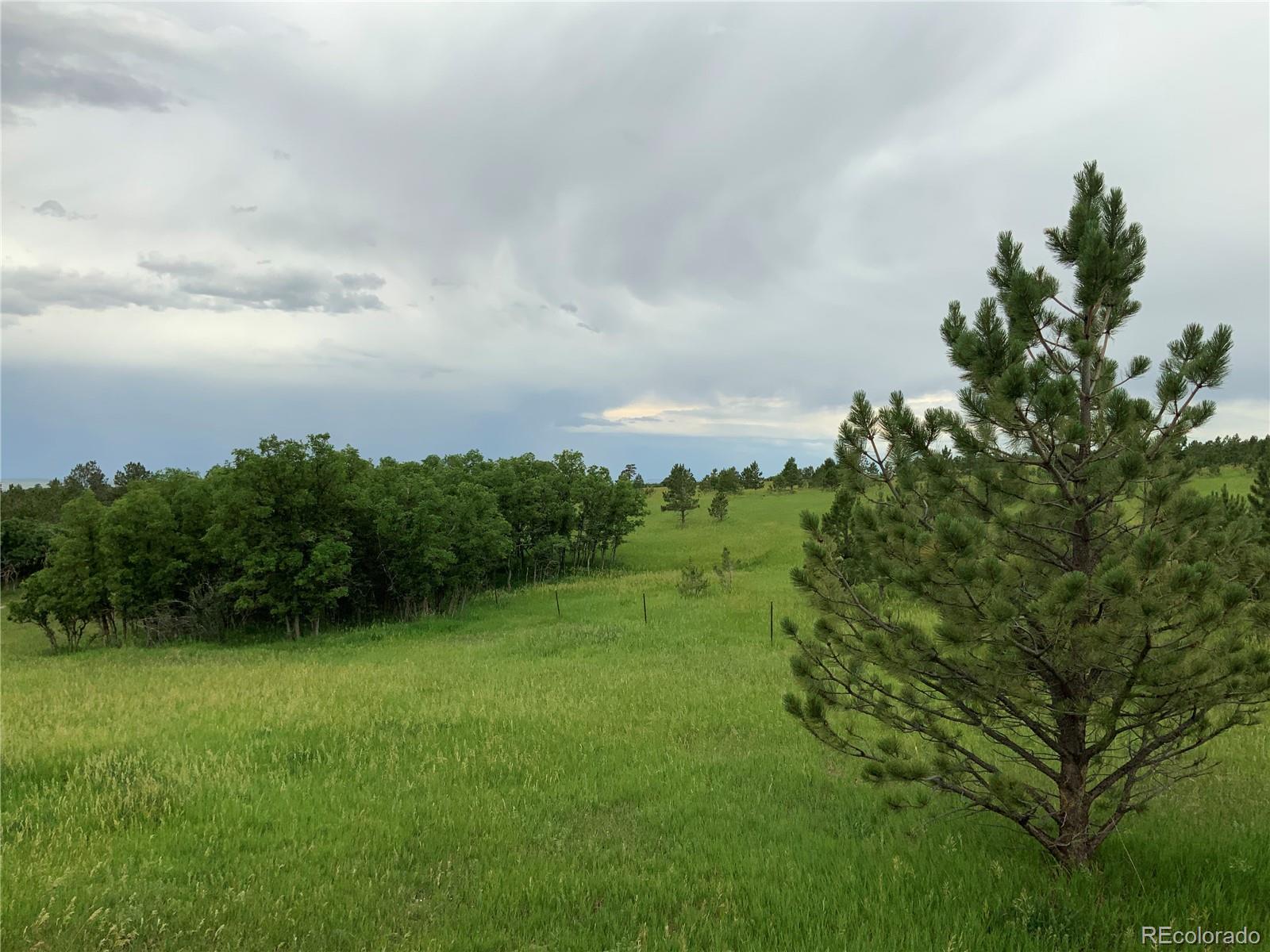 10724 Bartlett Trail Rye, CO 81069 - Photo 32 of 34 Gallery Image 32