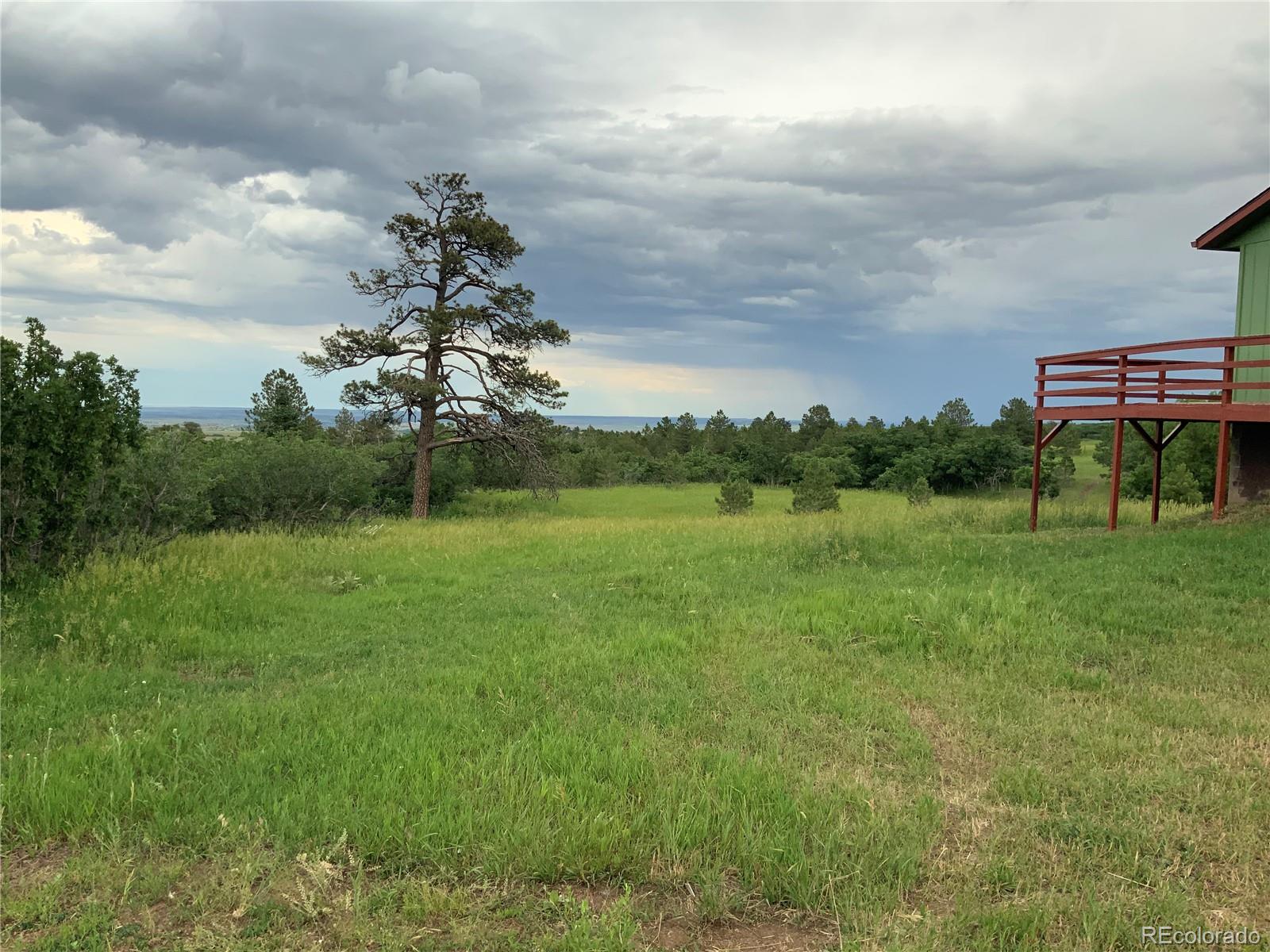 10724 Bartlett Trail Rye, CO 81069 - Photo 4 of 34 Gallery Image 4