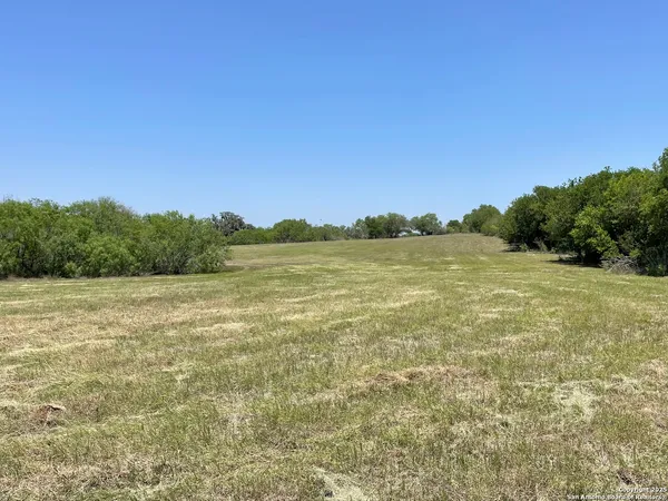 a view of a field with an ocean