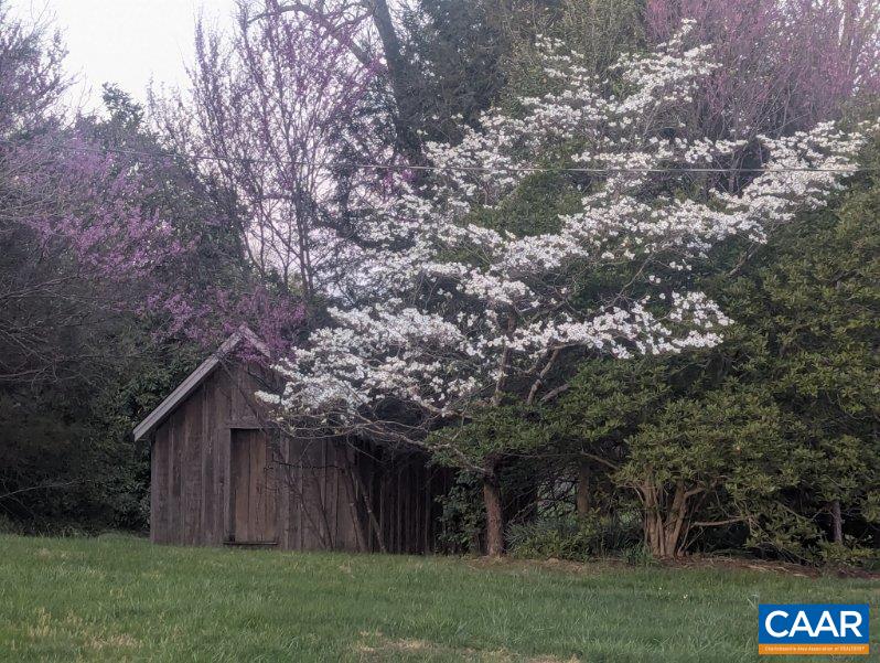 1888 Craigs Store Road Afton, VA 22920 - Photo 20 of 73 a view of a backyard with large trees and wooden fence