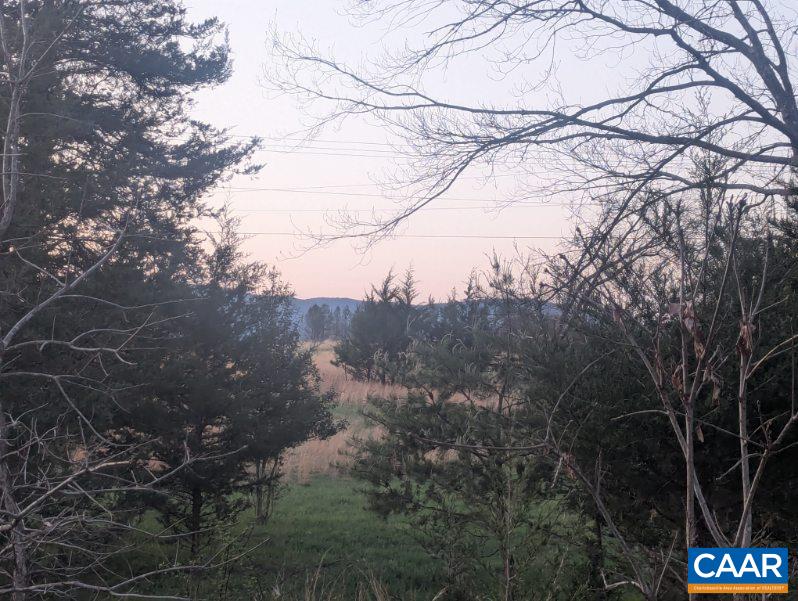 1888 Craigs Store Road Afton, VA 22920 - Photo 24 of 73 a view of a forest with a tree