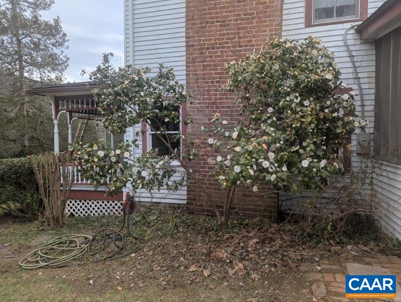 1888 Craigs Store Road Afton, VA 22920 - Photo 25 of 73 a view of a outdoor space