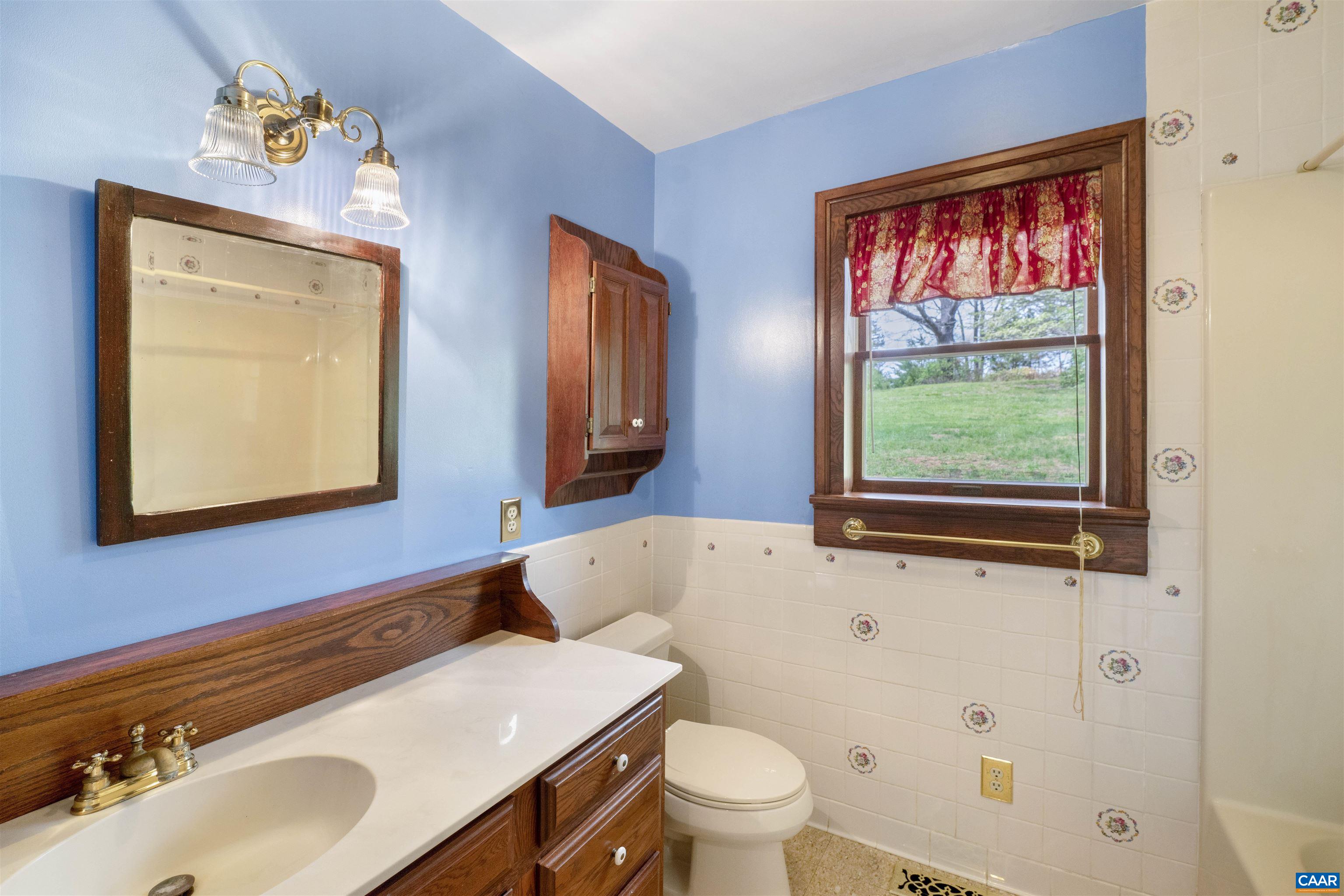 1888 Craigs Store Road Afton, VA 22920 - Photo 36 of 73 a bathroom with a sink a toilet and a mirror