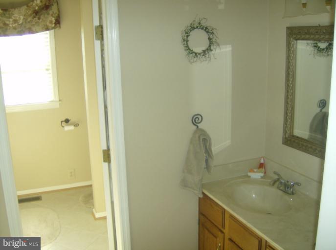 15729 Fairview Road Hagerstown, MD 21740 - Photo 8 of 20 Bath (Master)