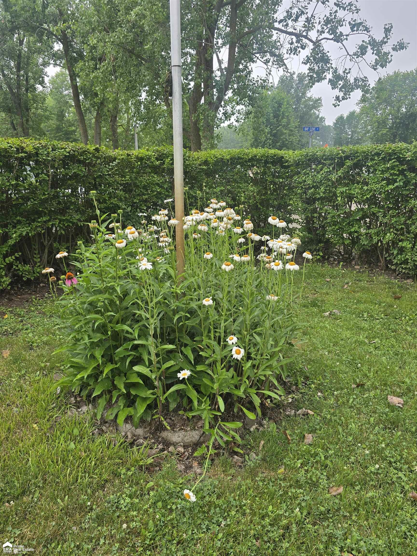 10001 Goodall Road, Unit 229 Durand, MI 48429 - Photo 16 of 20 Gallery Image 16