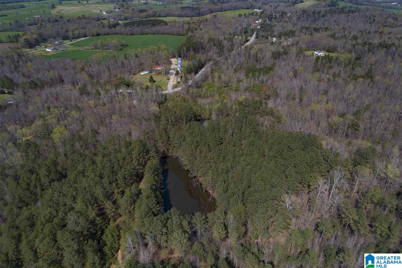 0 Mount Road Blountsville, AL 35031 - Photo 8 of 17