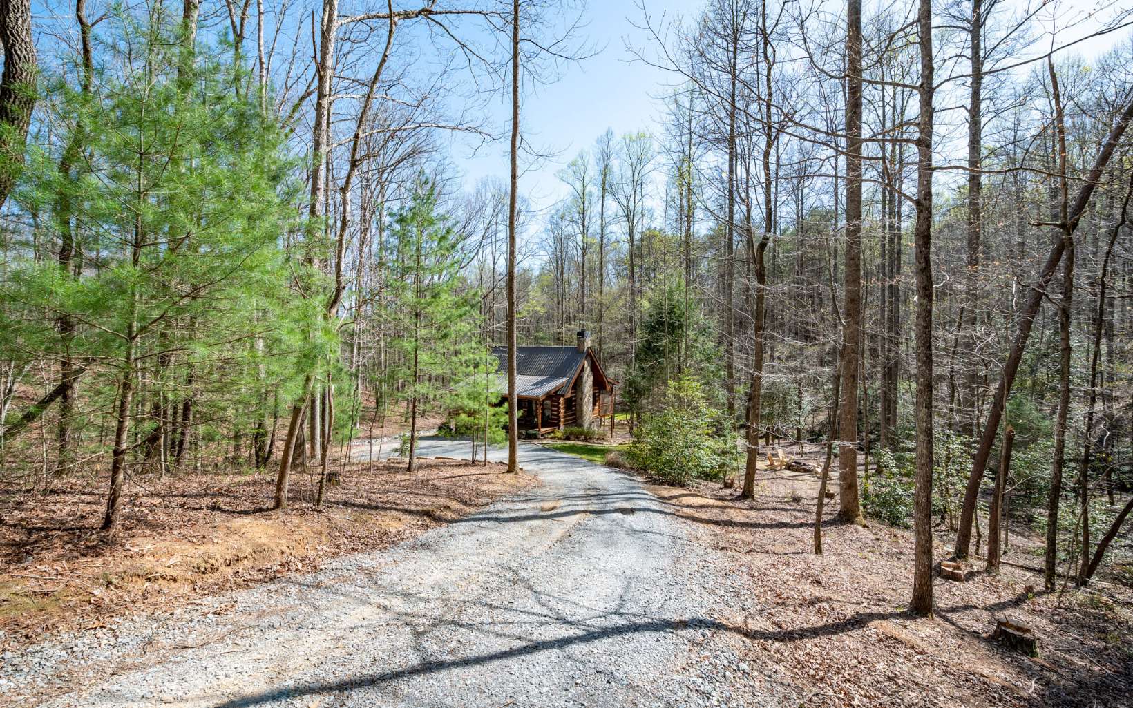 279 Jason Martin Circle Blue Ridge, GA 30513 - Photo 4 of 42 Additional View