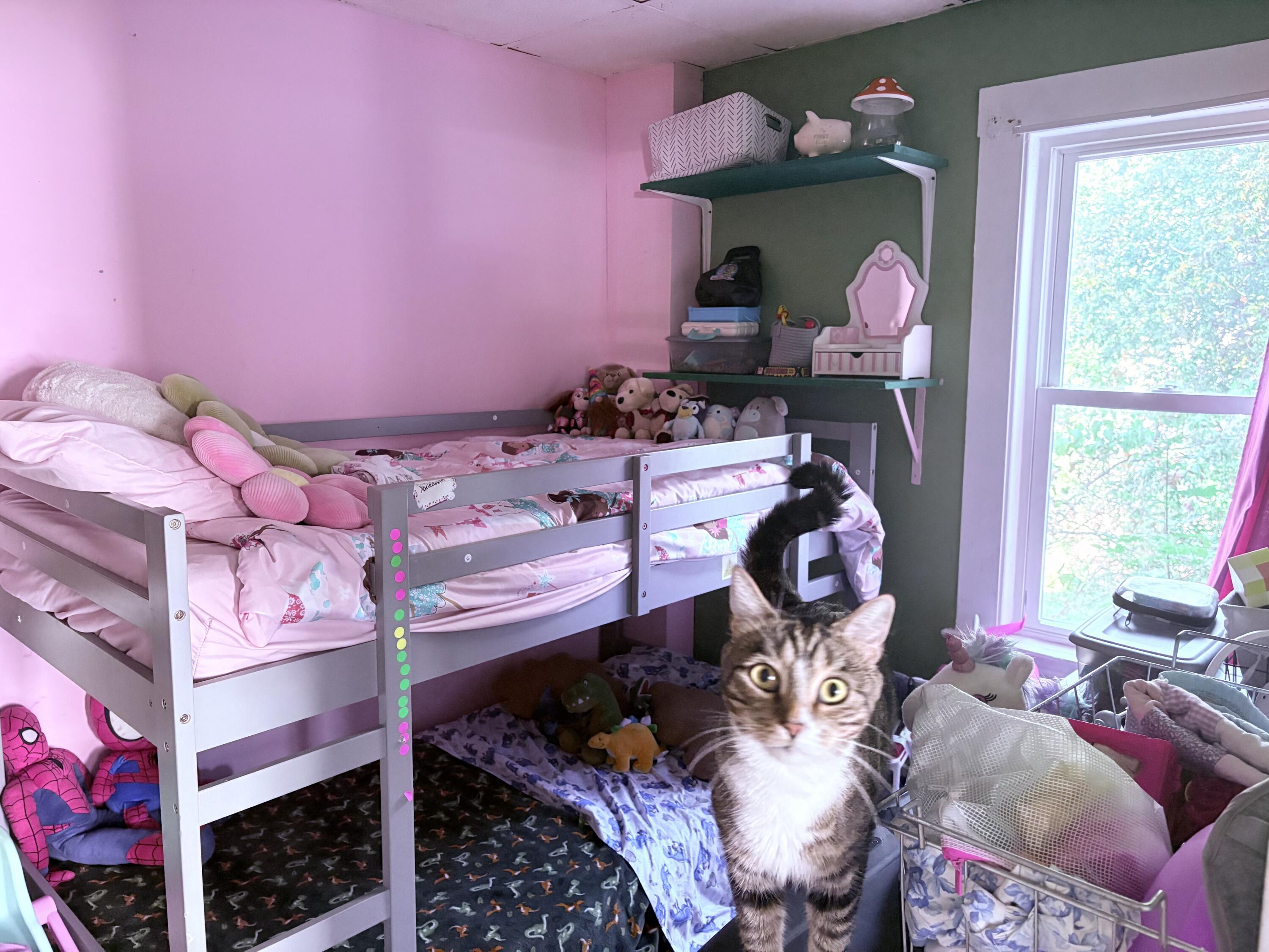 5 Ralph Avenue Lewiston, ME 04240 - Photo 12 of 17 IMG_0407