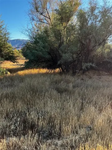 a view of outdoor space and tree